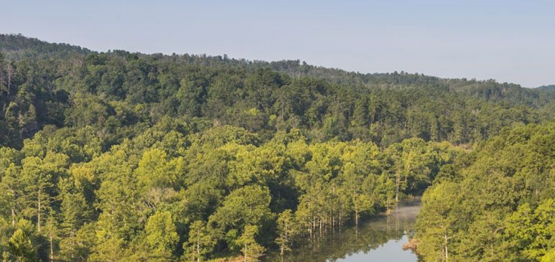 Ouachita National Forest